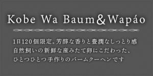 main_copy2408_3
